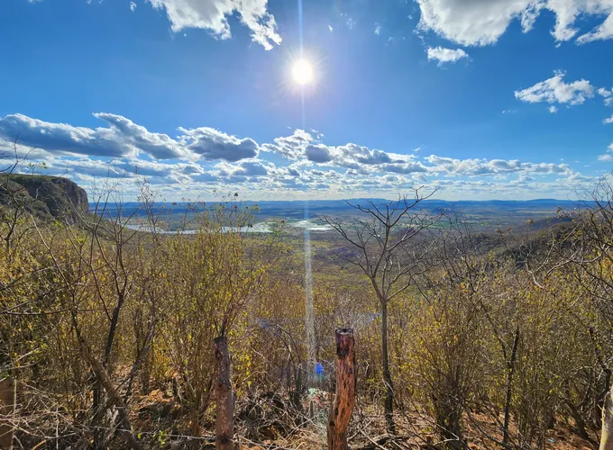 Vista do alto de uma serra da Caatinga, com vegetação seca em primeiro plano sob céu azul